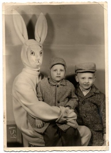 Фото юмор. Самые ужасные и смешные пасхальные кролики - №3