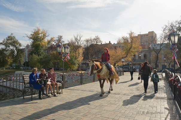 Анастасия Богатова (многоплановая  и полицентровая композиция)