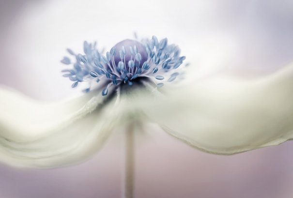 mandy_disher_01