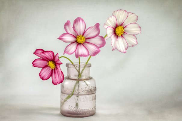 mandy_disher_08