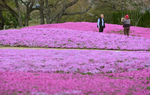 Kazuhiro Nogi / AFP /Getty Images