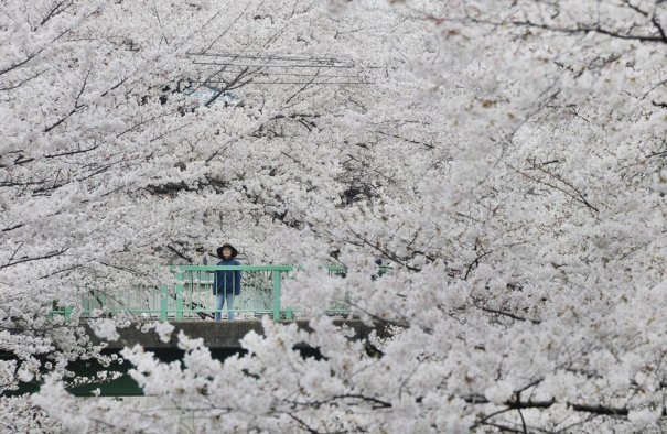 Toru Yamanaka / AFP / Getty Images