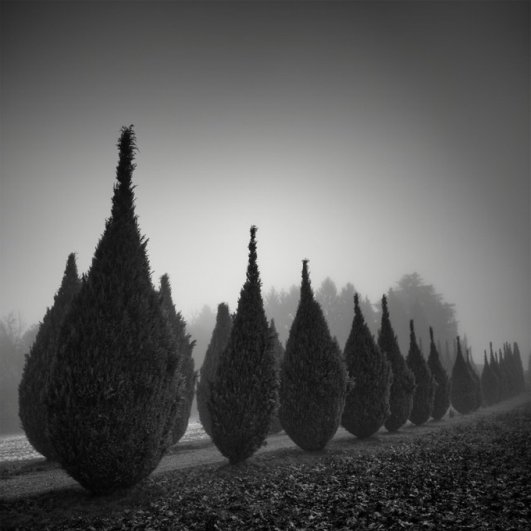 Швейцарский фотограф Пьер Пеллегрини/Pierre Pellegrini - №5