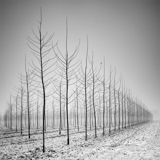 Швейцарский фотограф Пьер Пеллегрини/Pierre Pellegrini - №11