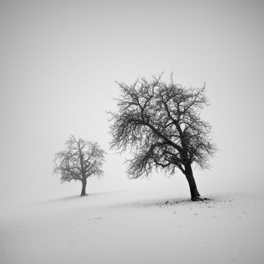 Швейцарский фотограф Пьер Пеллегрини/Pierre Pellegrini - №15