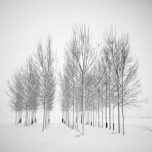 Швейцарский фотограф Пьер Пеллегрини/Pierre Pellegrini - №16