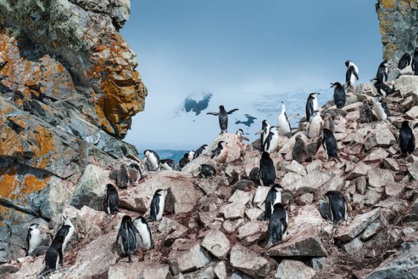 Фотоконкурс National Geographic Traveler 2013 - №12