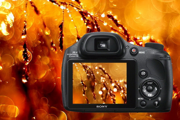 Камеры Sony Cyber-shot - новинки фото техники - №1