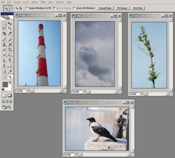 Обработка фото фильтром distort в программе Фотошоп - №2