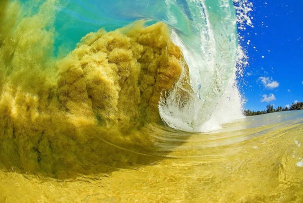 Шикарные морские волны, Гавайи - №2