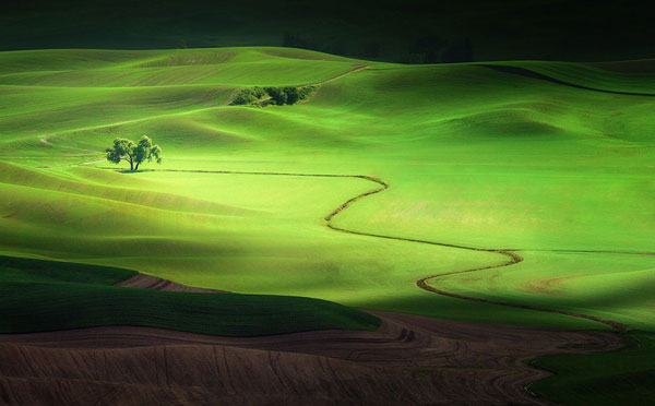 Закончилось время подачи фотографий на конкурс National Geographic Traveler 2013. Примеры работ - №15