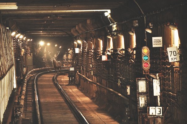 А Вы знаете, почему на самом деле поезда останавливаются в тоннелях метро? - №1