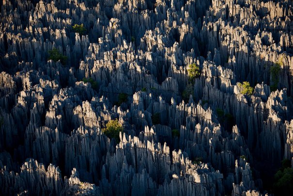Загадочный каменный лес на острове Мадагаскар - №7