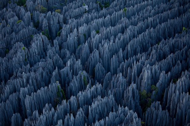 Загадочный каменный лес на острове Мадагаскар - №8