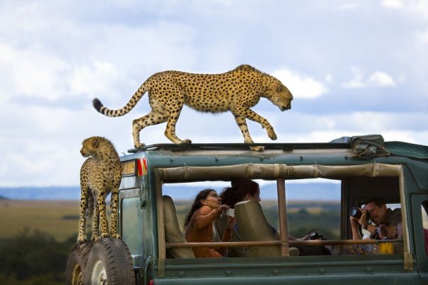Лучшие фото о путешествиях от National Geographic - №3