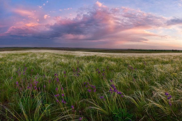 красивые пейзажи фото