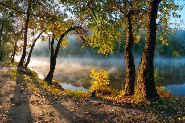 красивые пейзажи фото