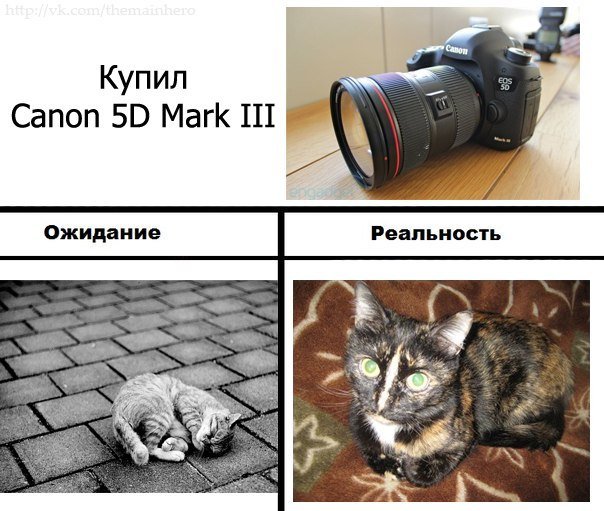 Фото юмор