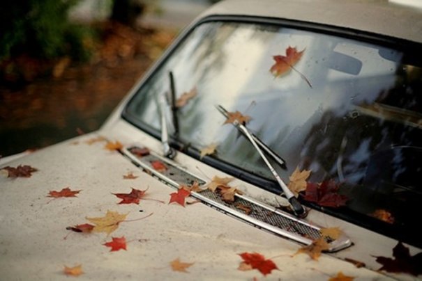 Необычная осень в красивых фото - №11