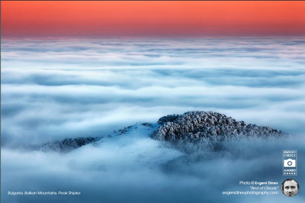 Bed of Clouds