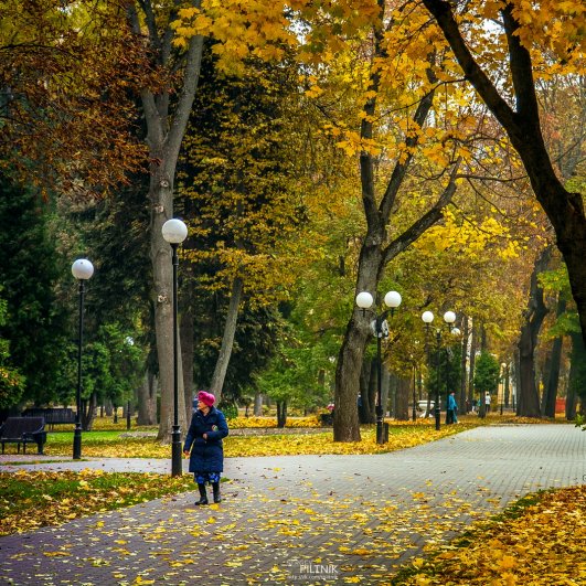 Гомельский парк. 13-10-2013