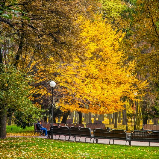 Гомельский парк. 13-10-2013