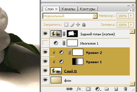 уроки фотошопа на русском