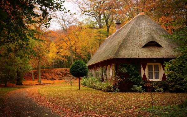 Самые красивые фото домов в лесу - №3