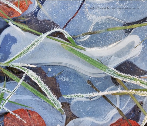 Robert Birkby - Icy abstract