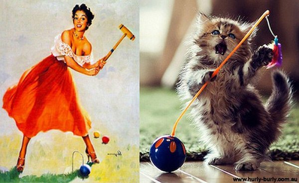 Фото юмор про кошек и девушек пин-ап! - №2
