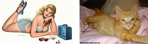 Фото юмор про кошек и девушек пин-ап! - №3