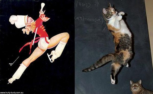 Фото юмор про кошек и девушек пин-ап! - №4