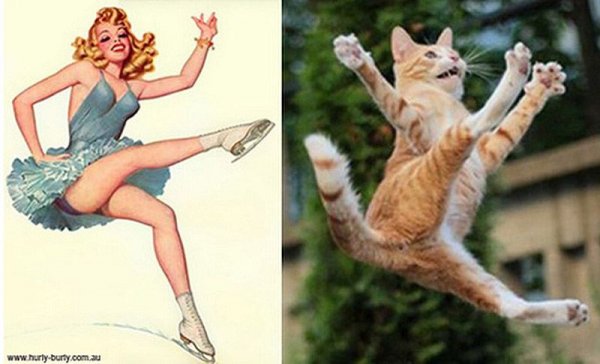 Фото юмор про кошек и девушек пин-ап! - №6