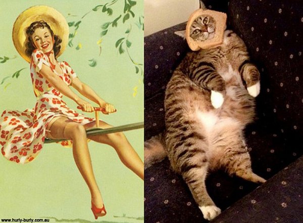 Фото юмор про кошек и девушек пин-ап! - №9