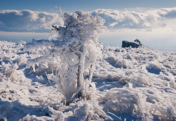 Зимние фото пейзажи из Крыма - №23