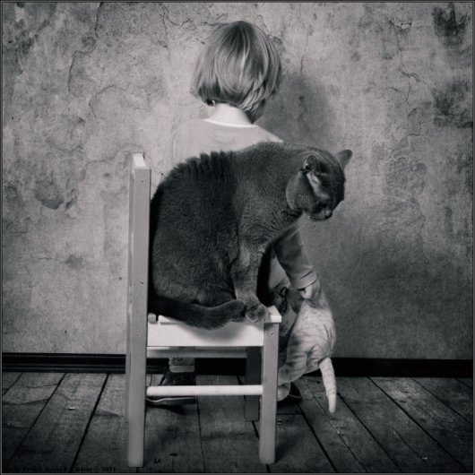 Девочка и Кот в интересном фото проекте - №16