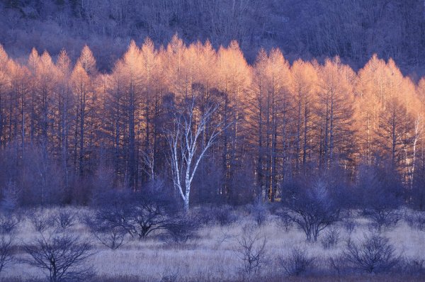 Урок фотографии. Поиск сюжетов для съемки зимой - №9