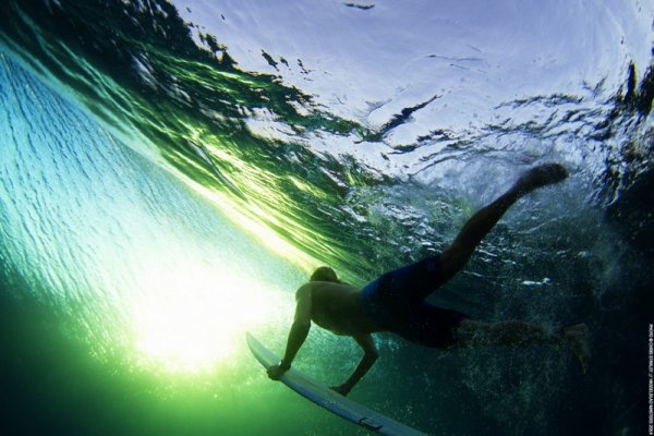 Winner in the Underwater category_Chris Straley, United States