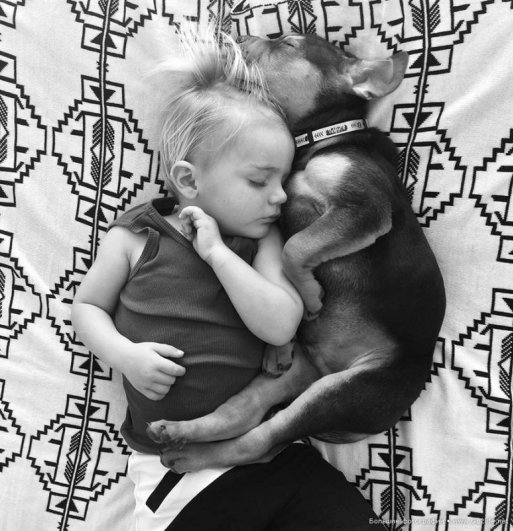 Милые дети и собачки - новый тренд Instagram - №2