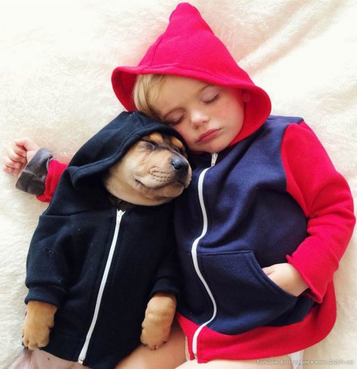 Милые дети и собачки - новый тренд Instagram - №6
