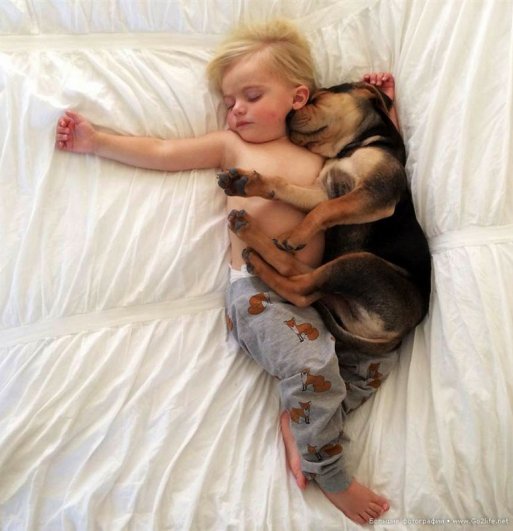 Милые дети и собачки - новый тренд Instagram - №10