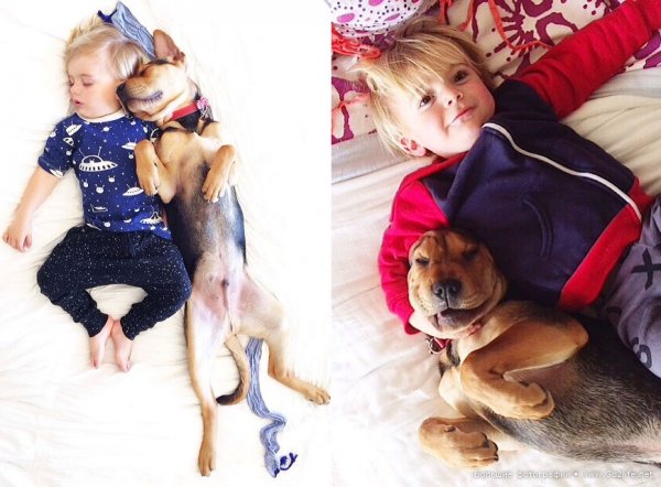 Милые дети и собачки - новый тренд Instagram - №14