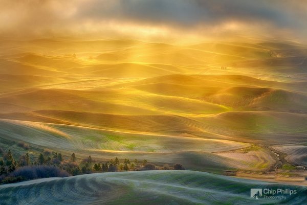 Красота природы - Холмы региона Палуз, залитые золотым светом