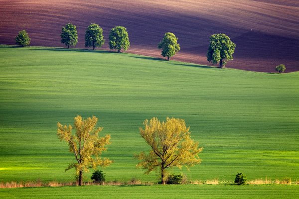 фото профессиональных фотографов