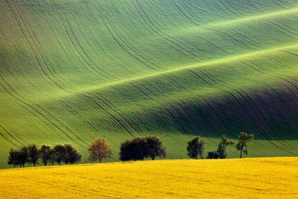 как стать профессиональным фотографом