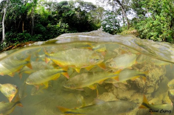 фото подводного мира