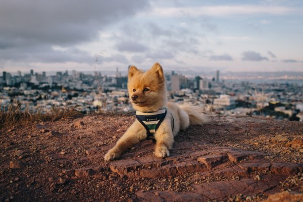 красивые фотографии природы