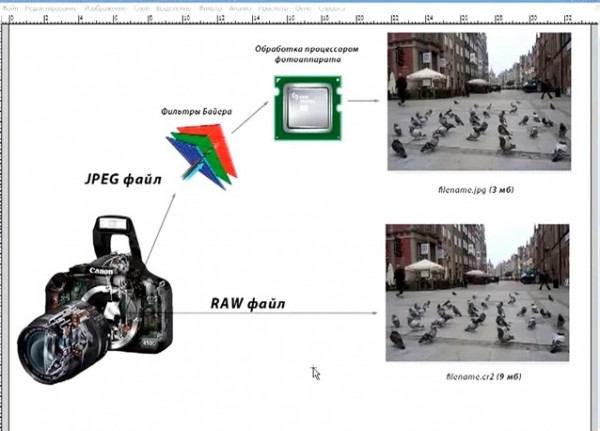 Урок фотографии - отличие RAW от JPEG