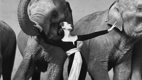 Ричард Аведон – признанный мэтр портретной фотосъемки