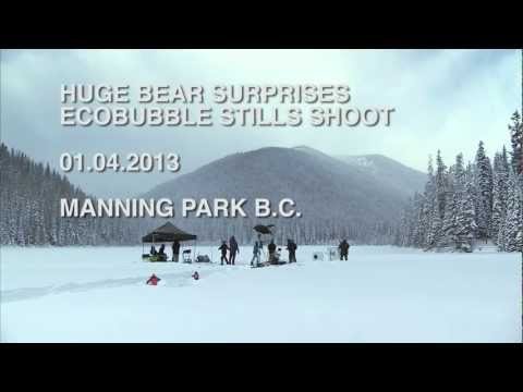 Медведь постирал шкуру - забавный видео ролик